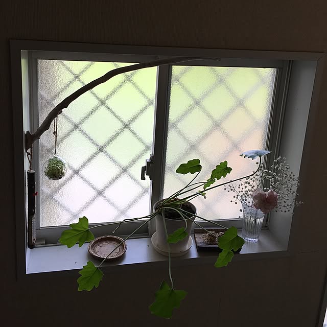 ttoさんの実例写真