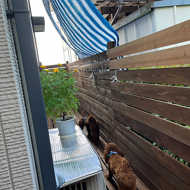 momoさんの実例写真