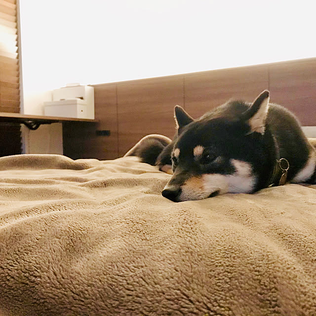 makiさんの実例写真