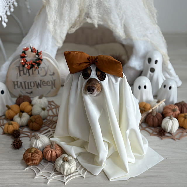 emiさんの実例写真