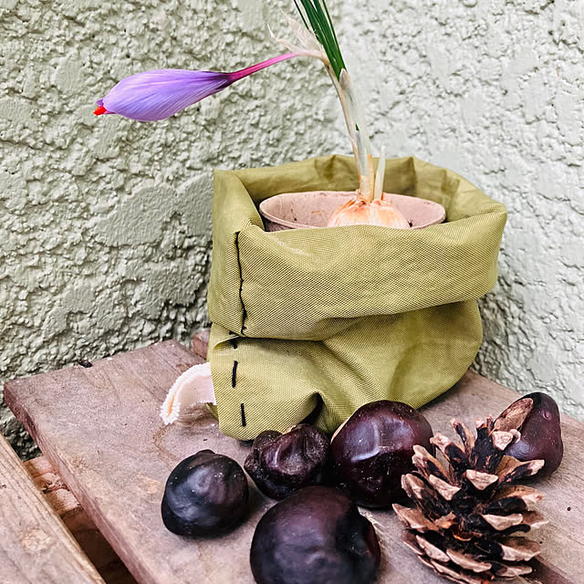 tomorinさんの実例写真