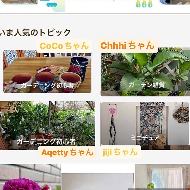 実例写真