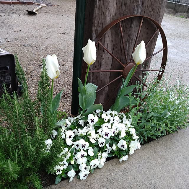 tosuさんの実例写真