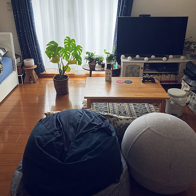 実例写真