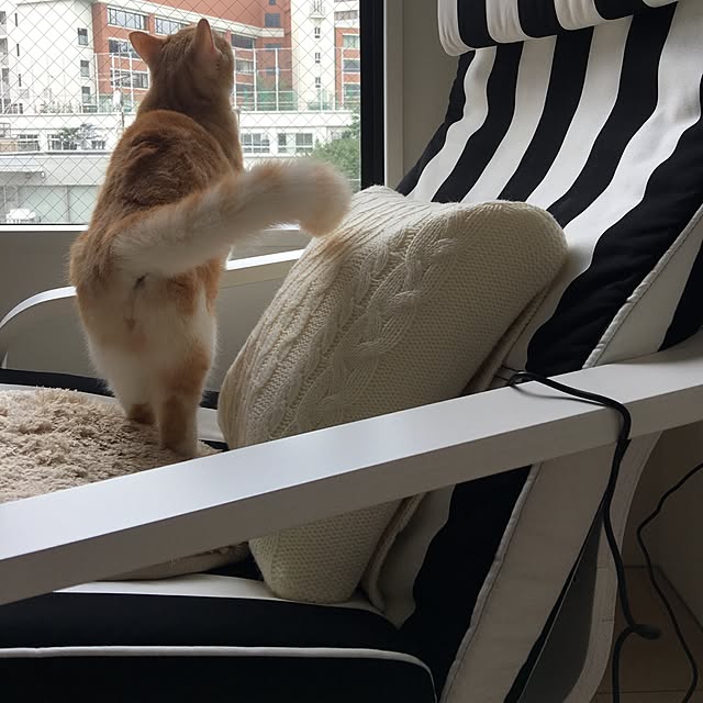 korinkorinさんの実例写真