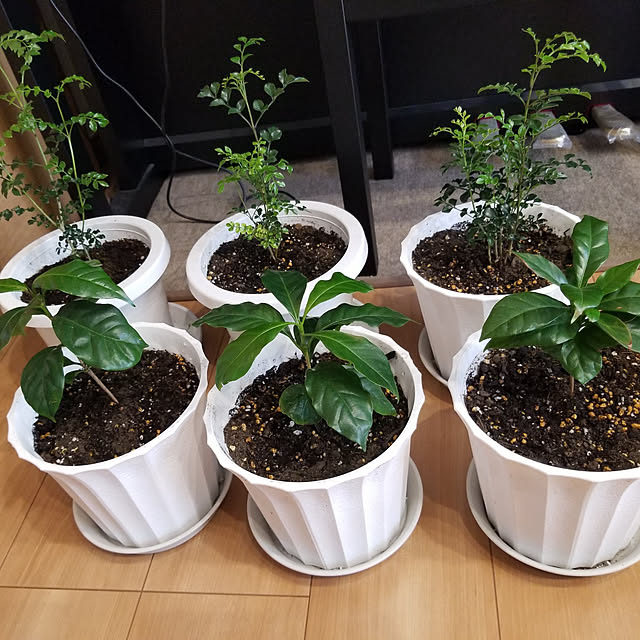 3saTさんの実例写真