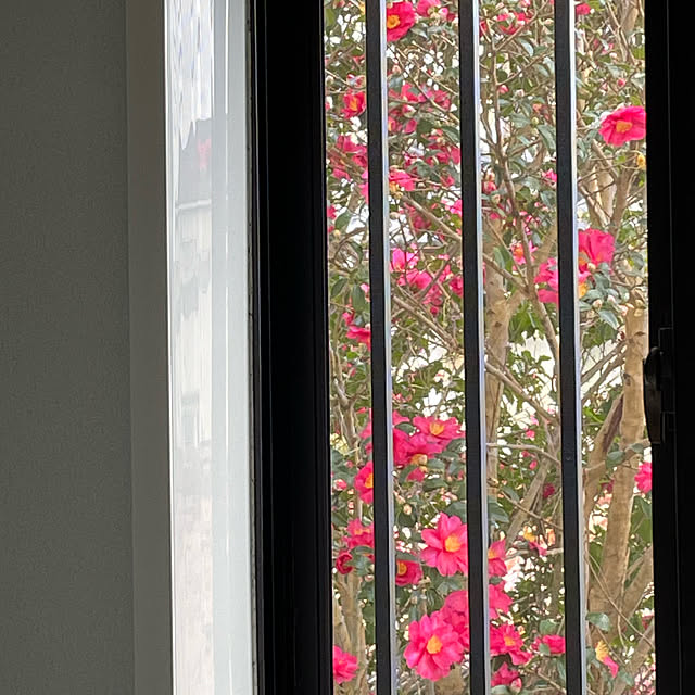 natsumiさんの部屋