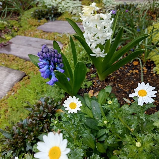 coconathuさんの部屋