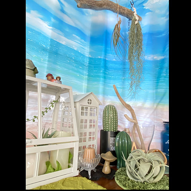 necomuraさんの実例写真