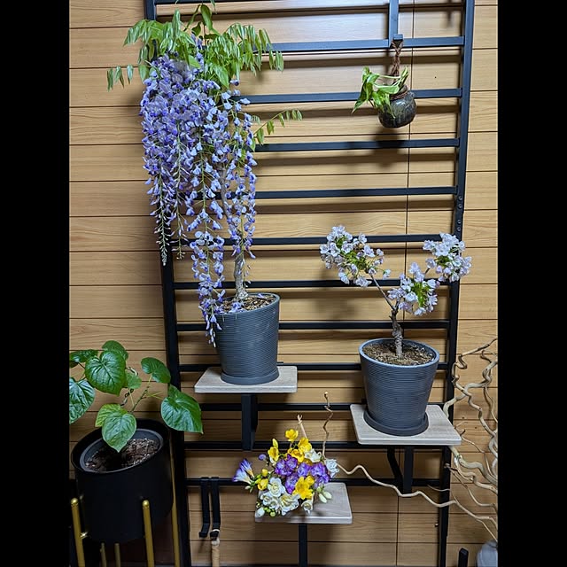 aromameさんの部屋