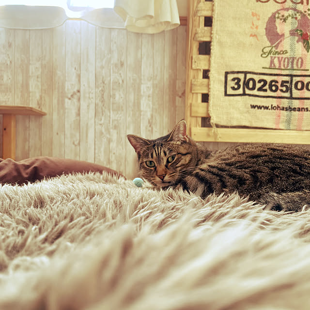 Mさんの実例写真