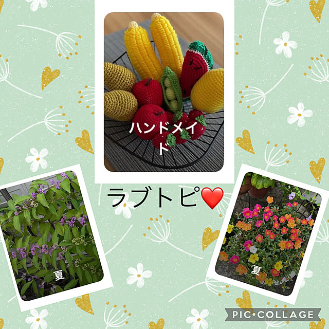 CoCo0617さんの実例写真