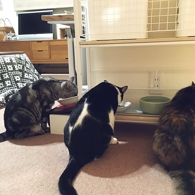 mikomaruさんの実例写真