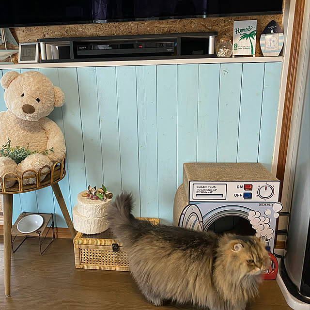 xxyumexx.roomさんの実例写真