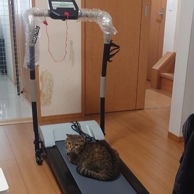 noguriさんの実例写真