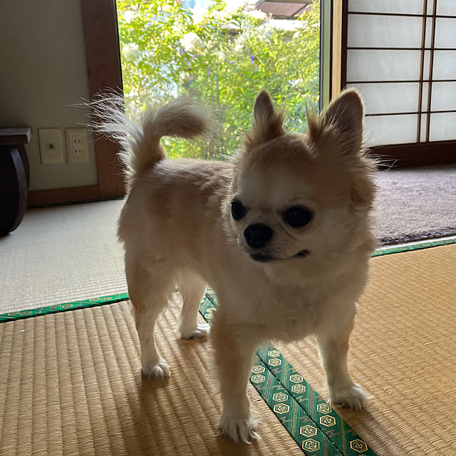 natsumiさんの部屋