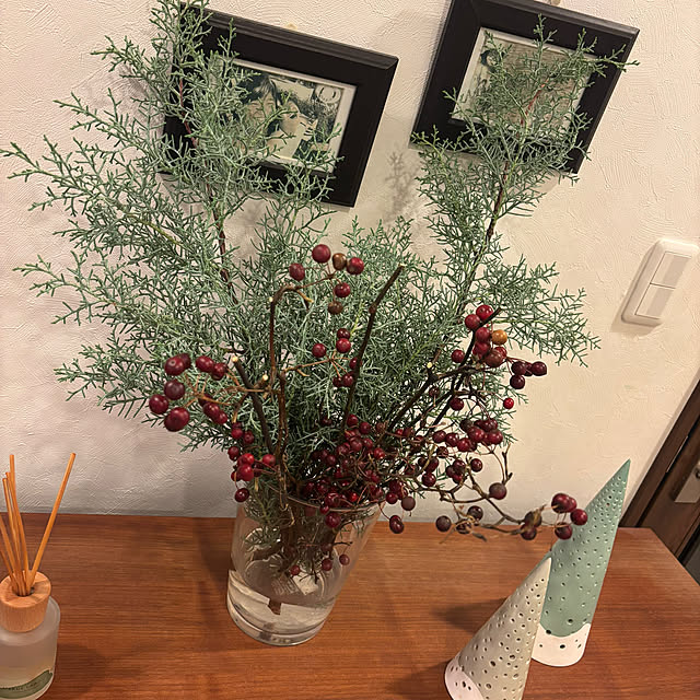 Monsteraさんの部屋