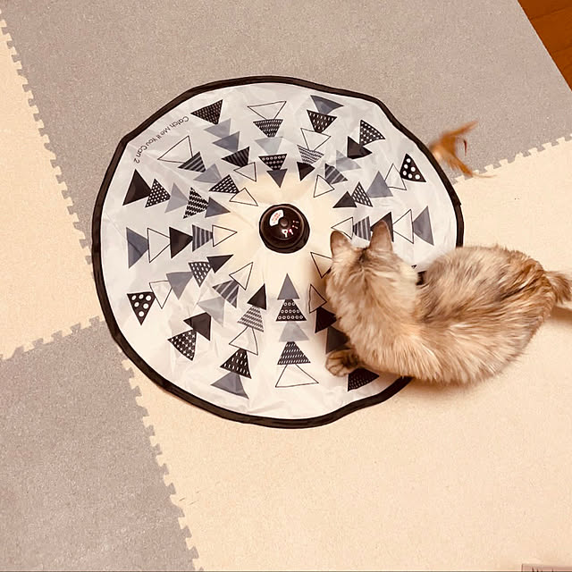 chachaさんの実例写真