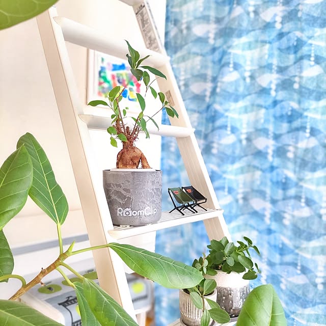Haさんの部屋
