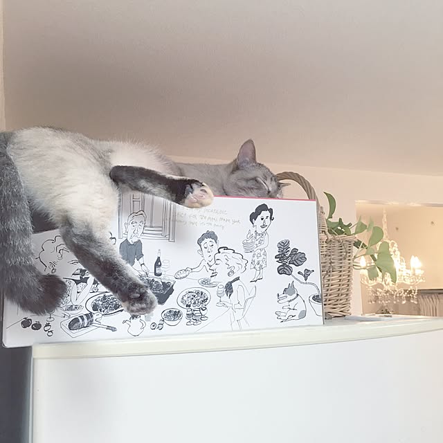 noelさんの実例写真