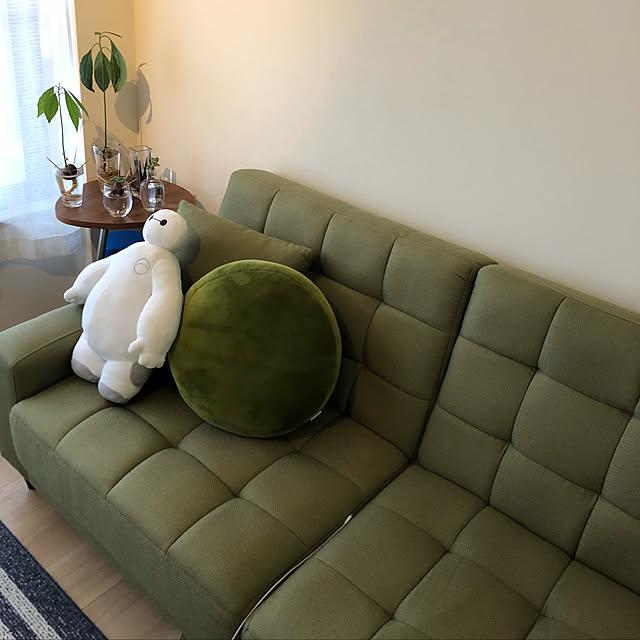 shihoさんの実例写真