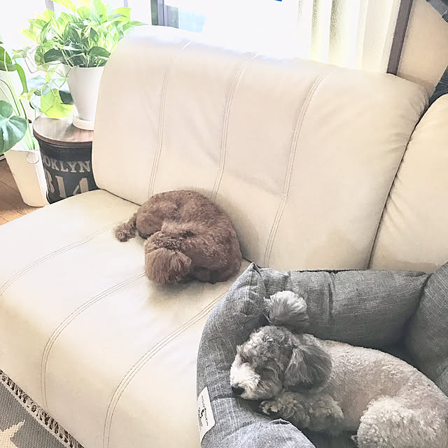 s.s.l_mikiさんの実例写真