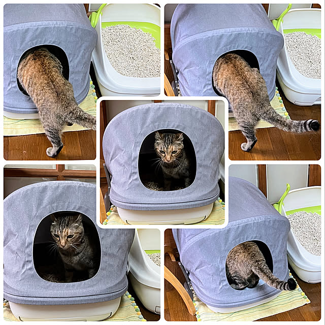 mohhaさんの実例写真