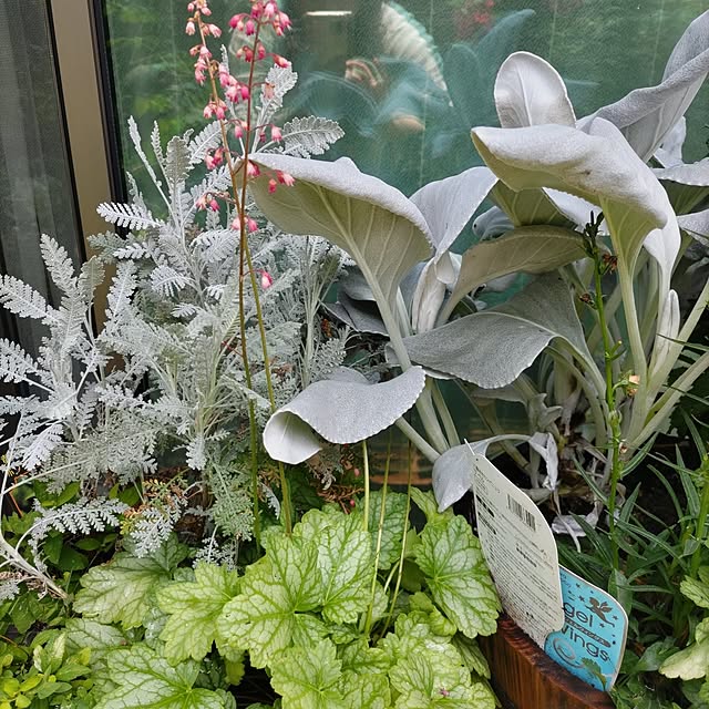 yuuさんの部屋