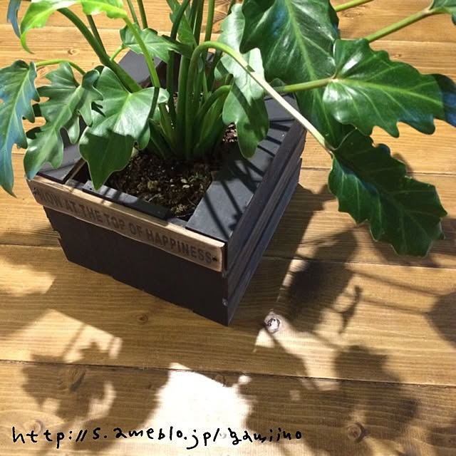 gamiさんの実例写真