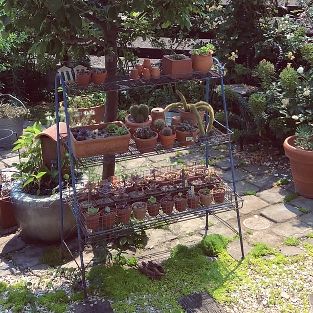 misacoさんの実例写真