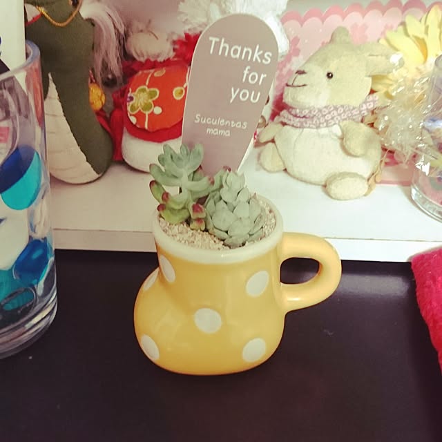 yukinkoさんの実例写真
