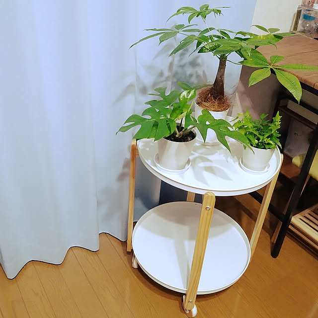 i.must.anさんの実例写真