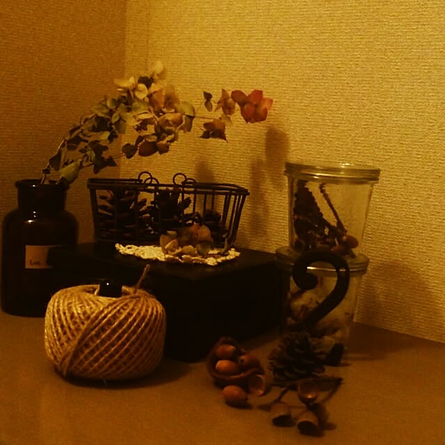 tanukyoiさんの部屋
