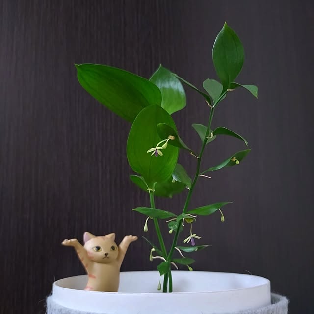 NOAHさんの実例写真