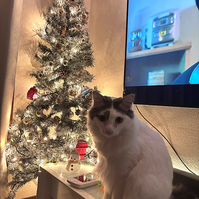 ponchu37さんの実例写真