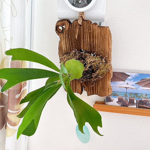 spur0204さんの実例写真
