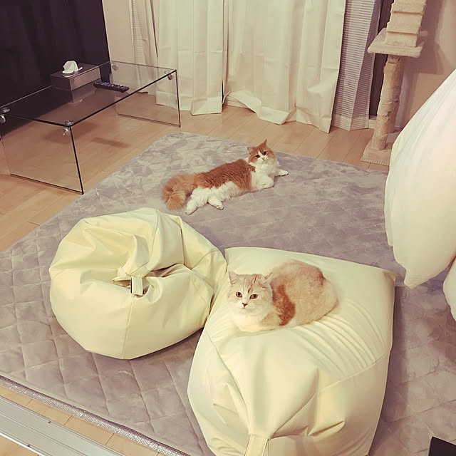 H.Tさんの実例写真