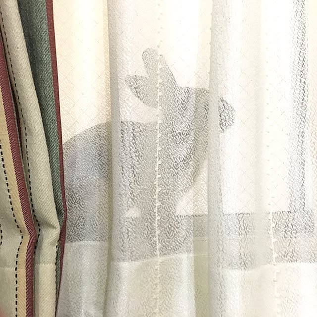 Tomoさんの実例写真