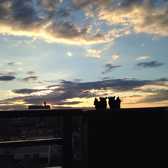 simple_blowbackさんの実例写真