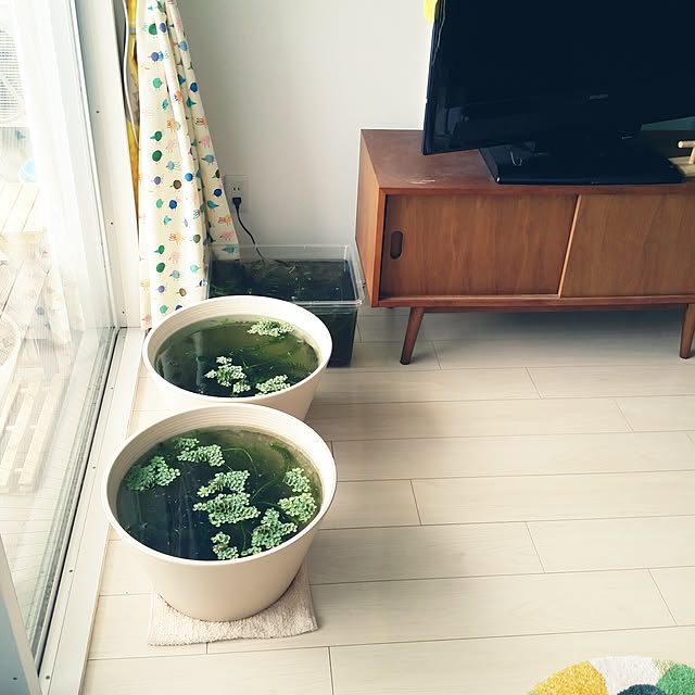 m-kinocoさんの実例写真