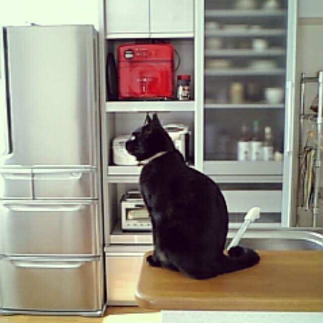 kiitosさんの実例写真