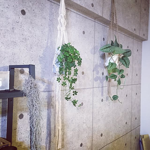 壁/天井/観葉植物/カフェ風/雑貨のインテリア実例 - 2016-09-05 07:39:14