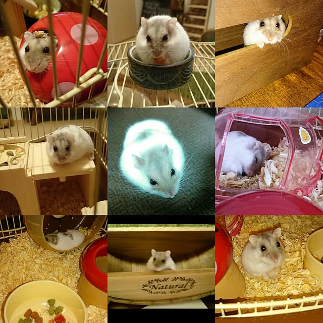 happiness.ay1206さんの実例写真