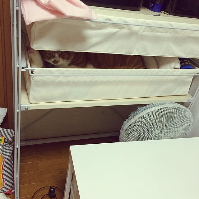 pikkariさんの実例写真