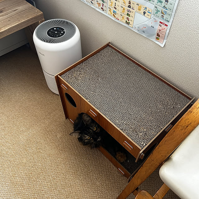 mikomaruさんの部屋