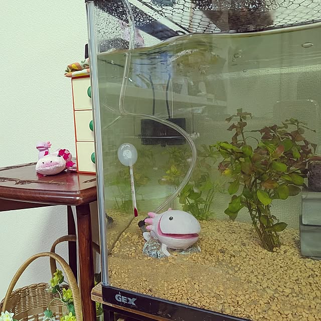 umeboshicyanさんの実例写真