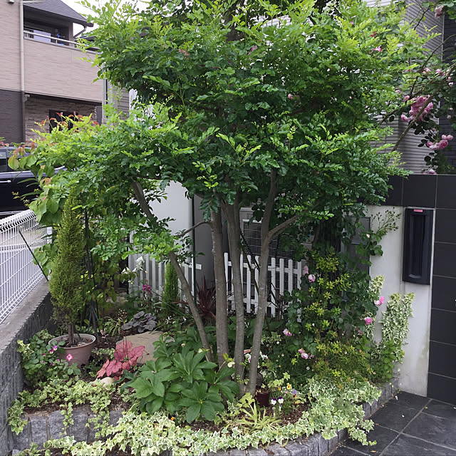 実例写真