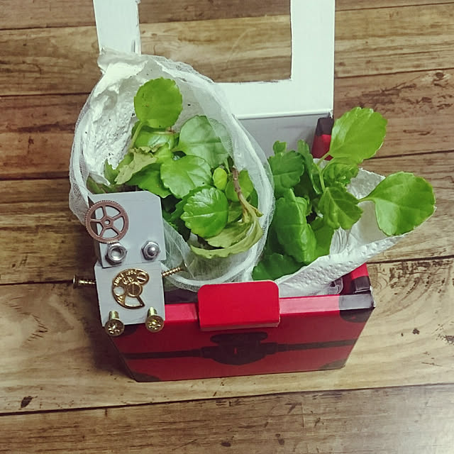 yunakoさんの実例写真