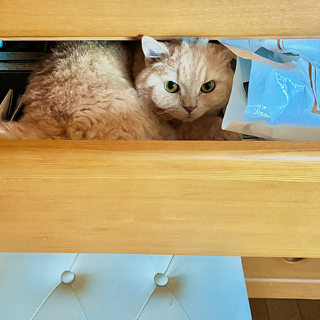 naokoさんの部屋