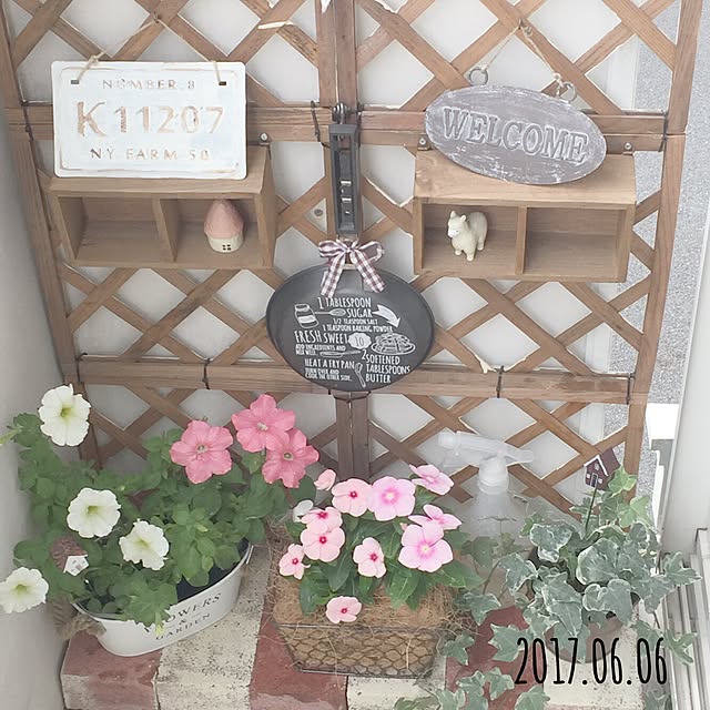 Minoriさんの実例写真